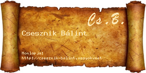 Csesznik Bálint névjegykártya